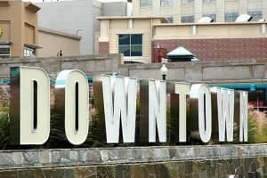 Silver Spring